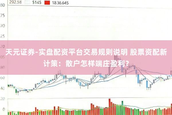 天元证券-实盘配资平台交易规则说明 股票资配新计策：散户怎样端庄盈利？