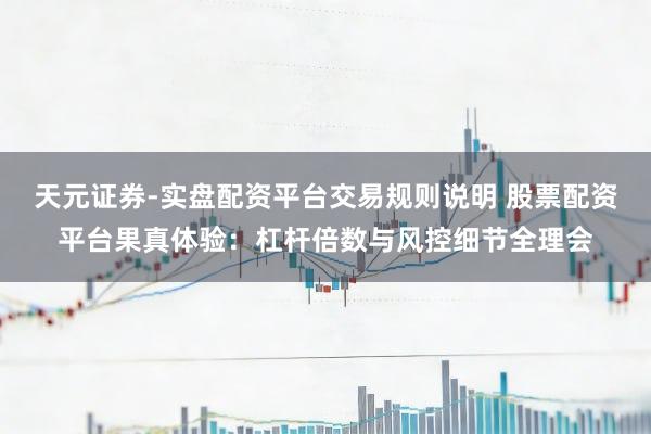 天元证券-实盘配资平台交易规则说明 股票配资平台果真体验：杠杆倍数与风控细节全理会
