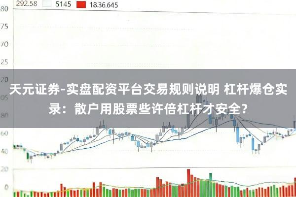 天元证券-实盘配资平台交易规则说明 杠杆爆仓实录：散户用股票些许倍杠杆才安全？